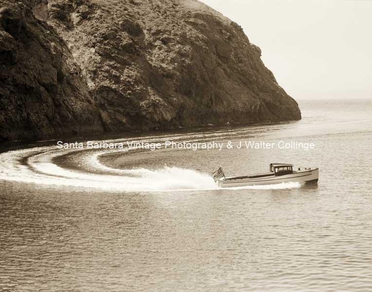 Collinge’s Peter Pan at Santa Cruz Island | CH04