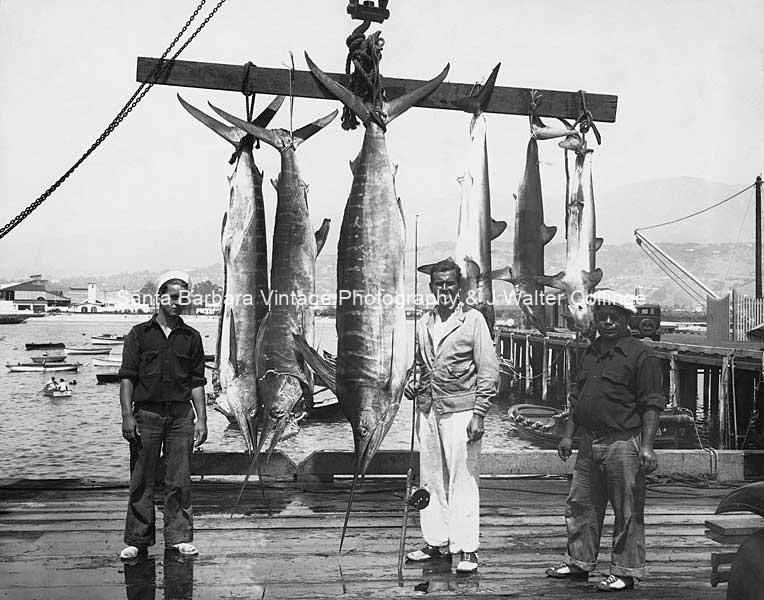 Marlin fishing, Santa Barbara – SB66